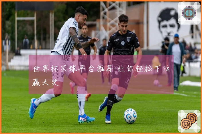 世界杯买球平台推荐 让你轻松下注赢大奖
