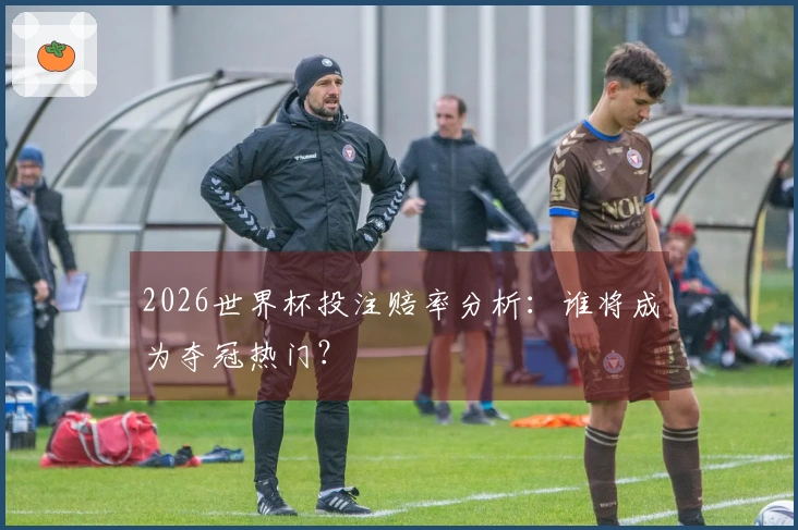 2026世界杯投注赔率分析：谁将成为夺冠热门？