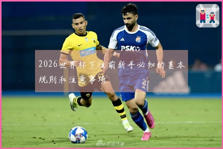 2026世界杯下注前新手必知的基本规则和注意事项