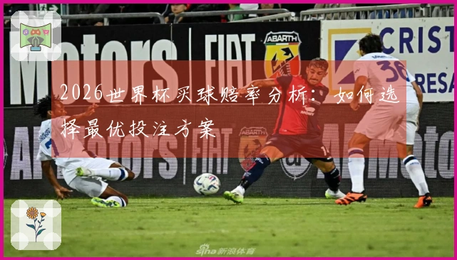 2026世界杯买球赔率分析：如何选择最优投注方案