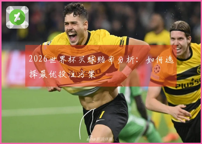 2026世界杯买球赔率分析:如何选择最优投注方案